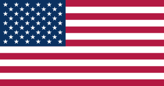 Bandeira Miami